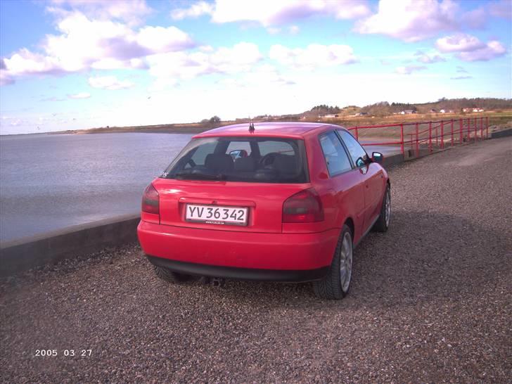 Audi A3 1.9 TDI billede 11