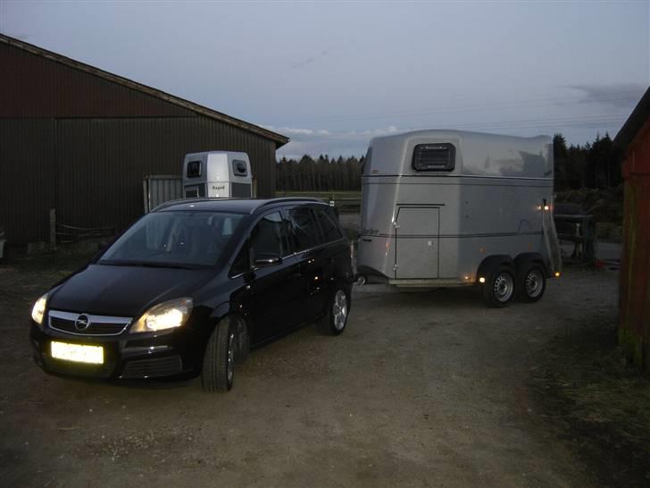Opel Zafira B CDTi (solgt) - man skulle vel lige teste den ordentlig... kæresten hestetrailer, med tilhørende hest. Og væk var Zaf´en. Den var sku ligeglad. billede 4