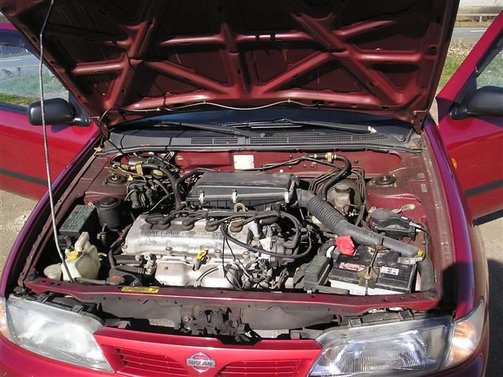 Nissan almera 1,4 s - Hesten en en 1,4 16v og med kæde og ikke tandrem, og så køre hun ca. 14,5km/l billede 5