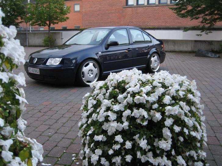 VW Bora 2,0 Totalskadet billede 7