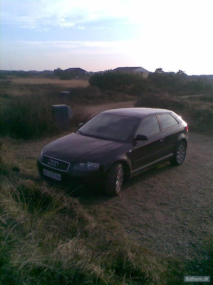 Audi A3 8P  * solgt* billede 2