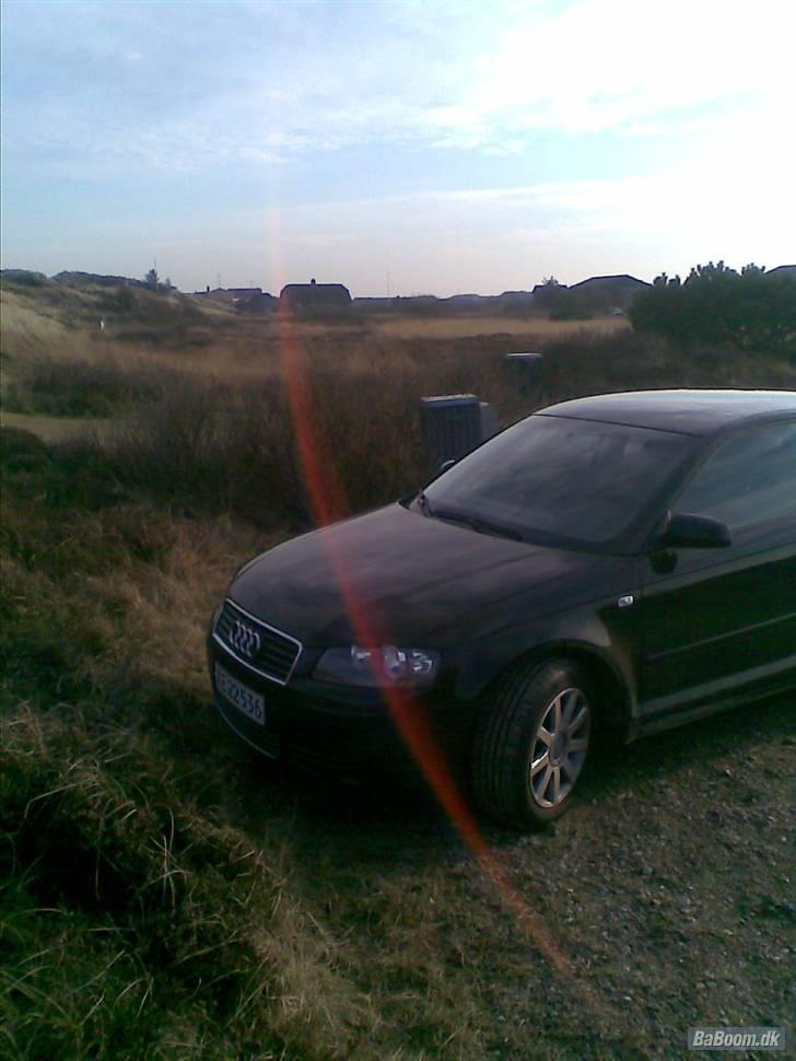 Audi A3 8P  * solgt* billede 3