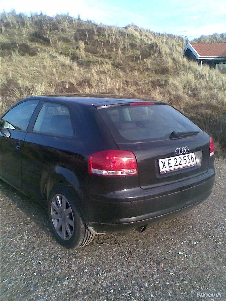 Audi A3 8P  * solgt* billede 4