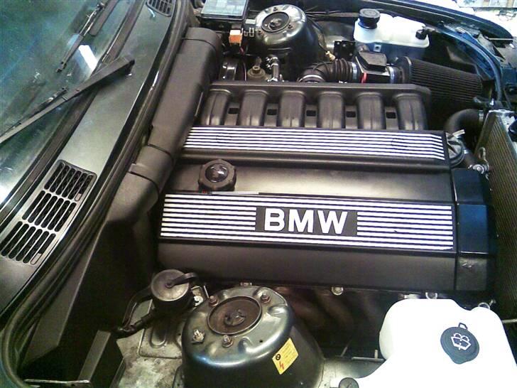 BMW E30 325i 24v Mtech2 - Den nye motor lagt i vinter 2009. Nyt M3-afdækning også. billede 17