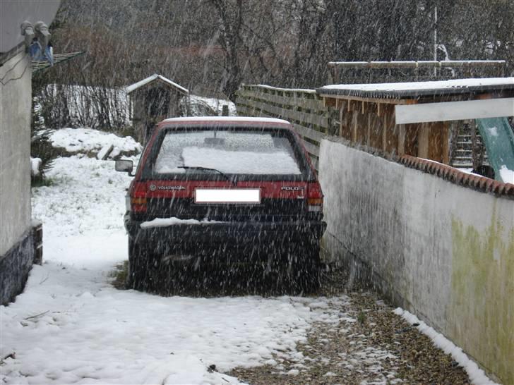 VW polo hit  "død" SMADERT billede 8
