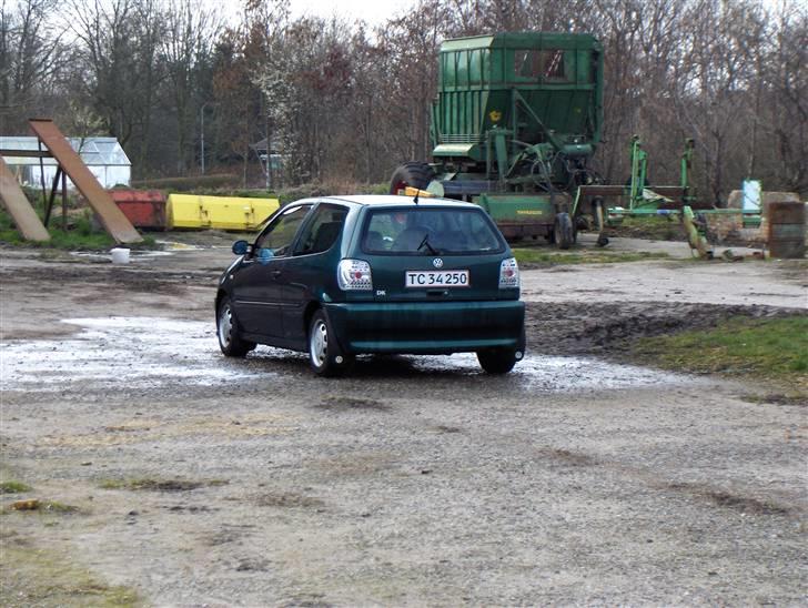 VW Polo 6n  - Nyvasket... billede 19