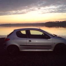 Peugeot 206 xrd 1.9 DØD