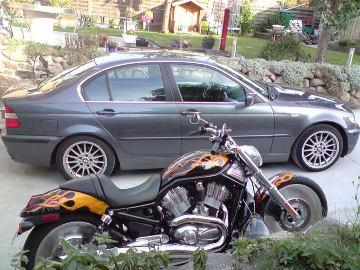 BMW E46 320i billede 6