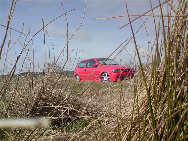 VW polo 6n solgt billede 6