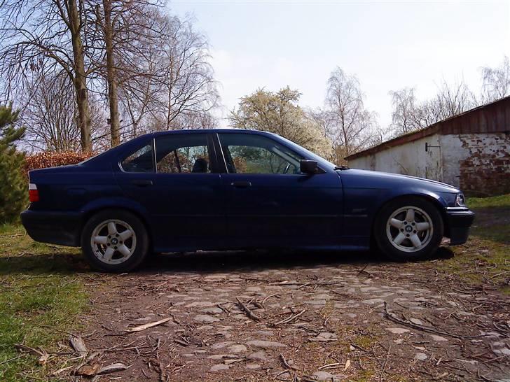 BMW 316i E36 - Da jeg fik den billede 4