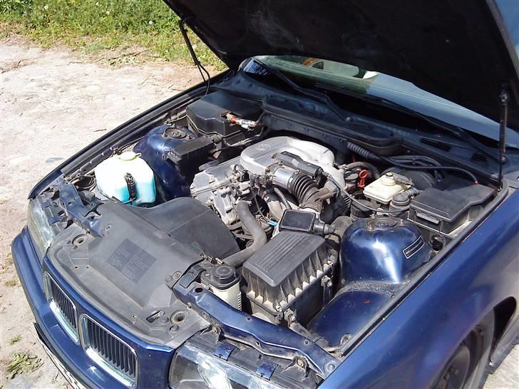 BMW 316i E36 billede 5