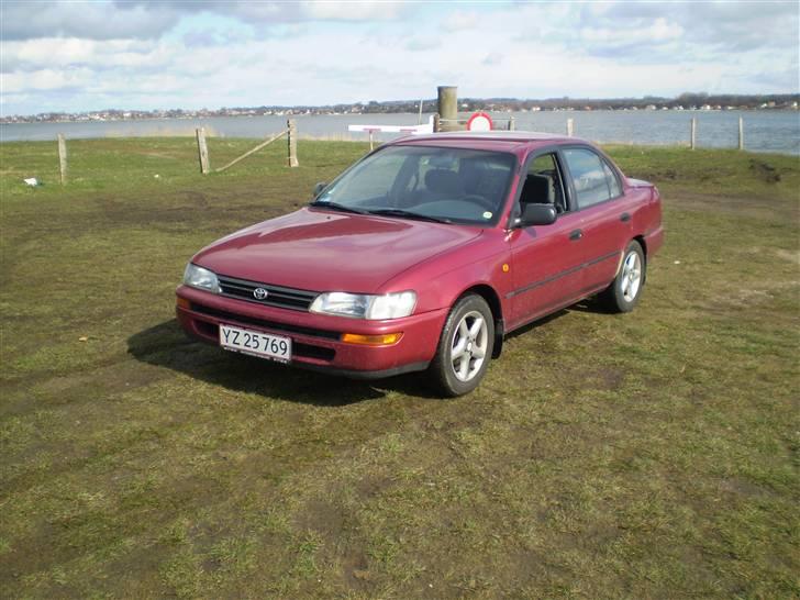 Toyota Corolla GLI ( Solgt ) - Da jeg købt min rolla...! billede 1
