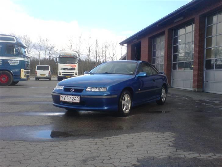 Opel Calibra Last Edition billede 1