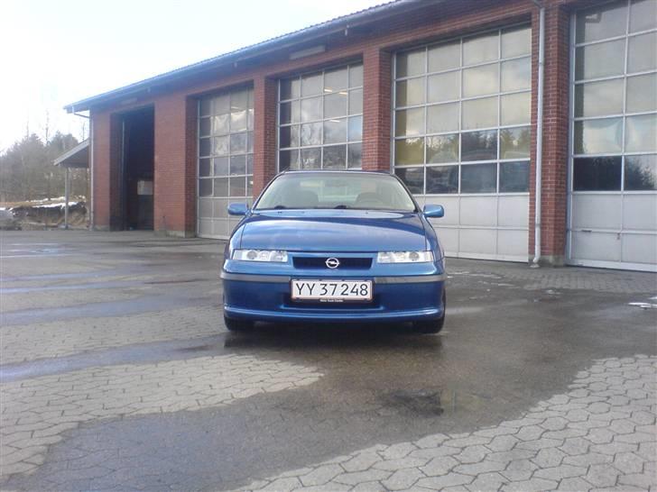Opel Calibra Last Edition billede 2