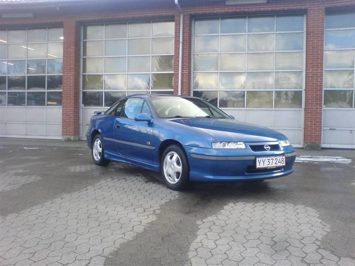 Opel Calibra Last Edition billede 3