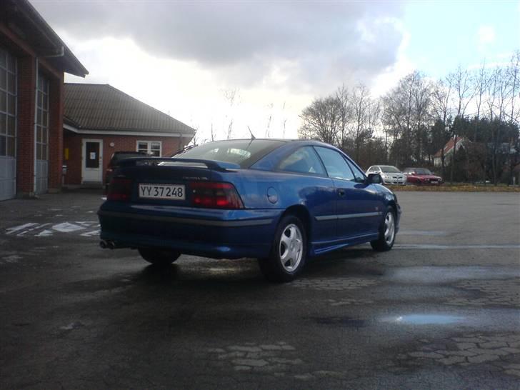 Opel Calibra Last Edition billede 5