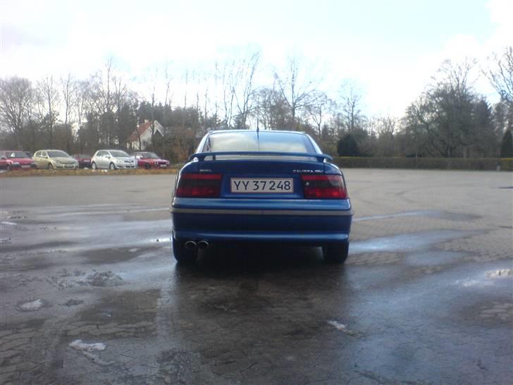 Opel Calibra Last Edition billede 6