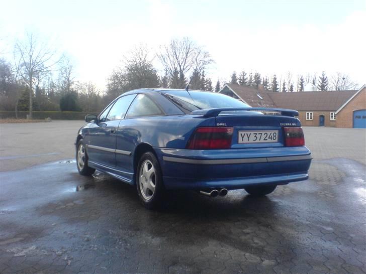 Opel Calibra Last Edition billede 7