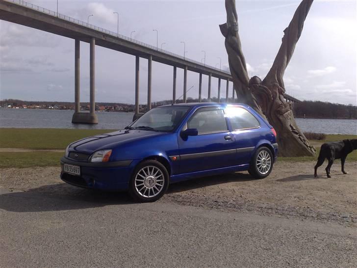 Ford fiesta 1,6 sport 16v billede 8