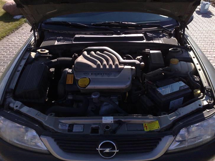 Opel Vectra B *****SOLGT***** billede 16