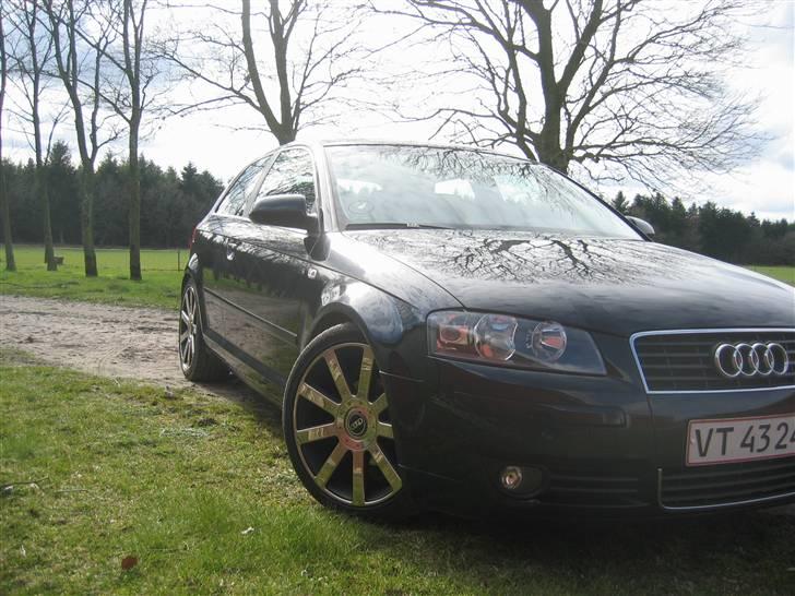 Audi A3 billede 11