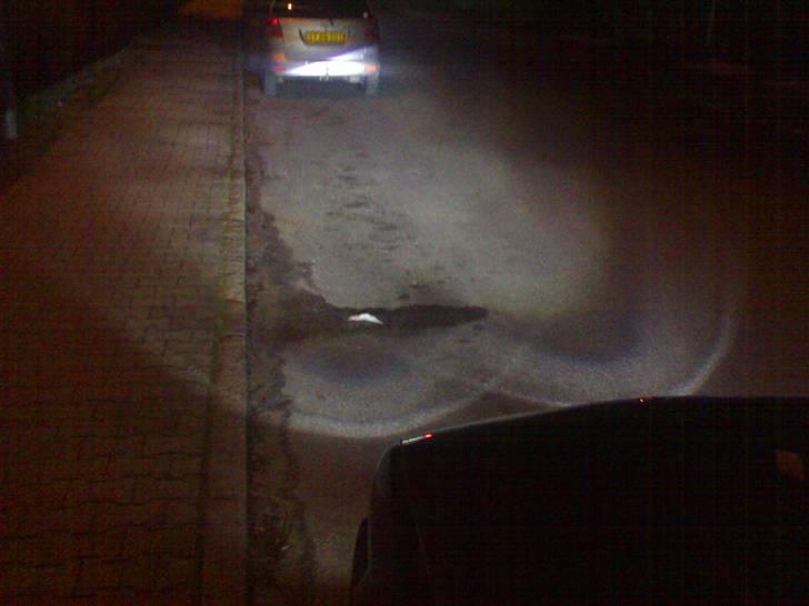 BMW E30 325IX touring (solgt). - Xennon 8000k... billede 11