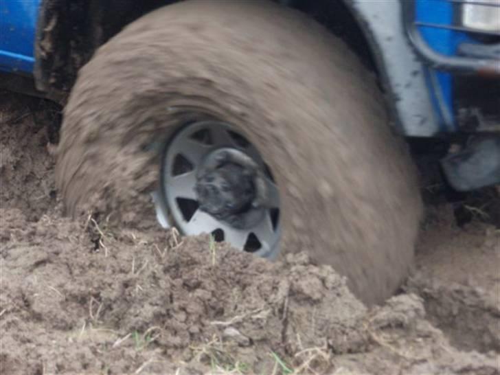 Nissan king cab 4x4 billede 20