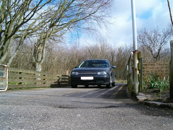 VW Golf IV  Trendline billede 17