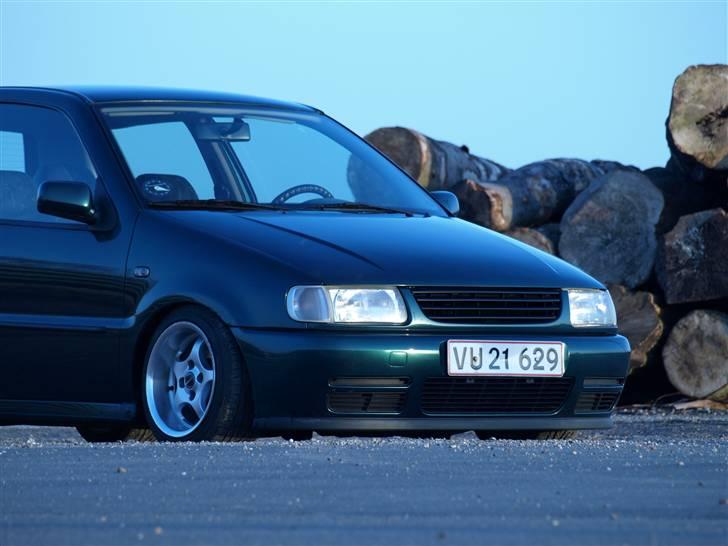 VW polo 6n(SOLGT) - taget d. 4/4-08 billede 7