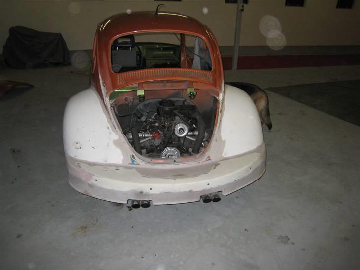 VW bobbel 1303 projekt billede 7