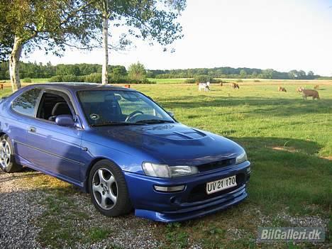 Toyota Corolla 20V min gamle bil billede 10