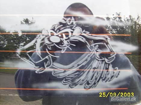 VW transporter t4 SOLGT - sandblæst motiv i bagruden billede 3