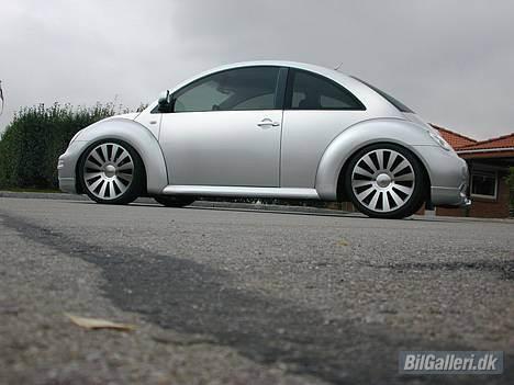 VW beetle billede 2