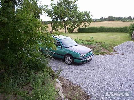 VW Golf VR6 billede 1