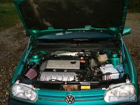 VW Golf VR6 - Et billede med den gamle sure doske vanddrikkende kværn billede 4