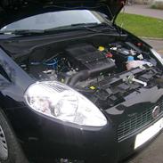 Fiat Grande Punto - GONE