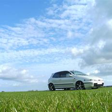 Fiat Bravo 1,6 16v Turbo