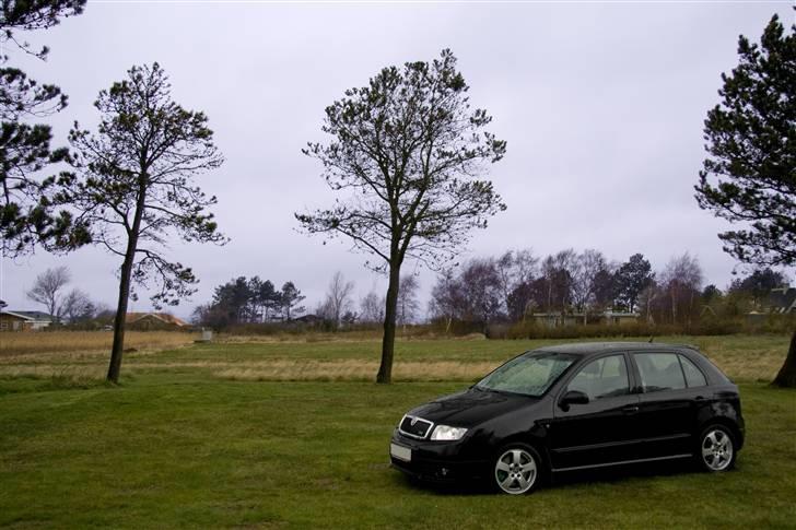 Skoda Fabia RS billede 19