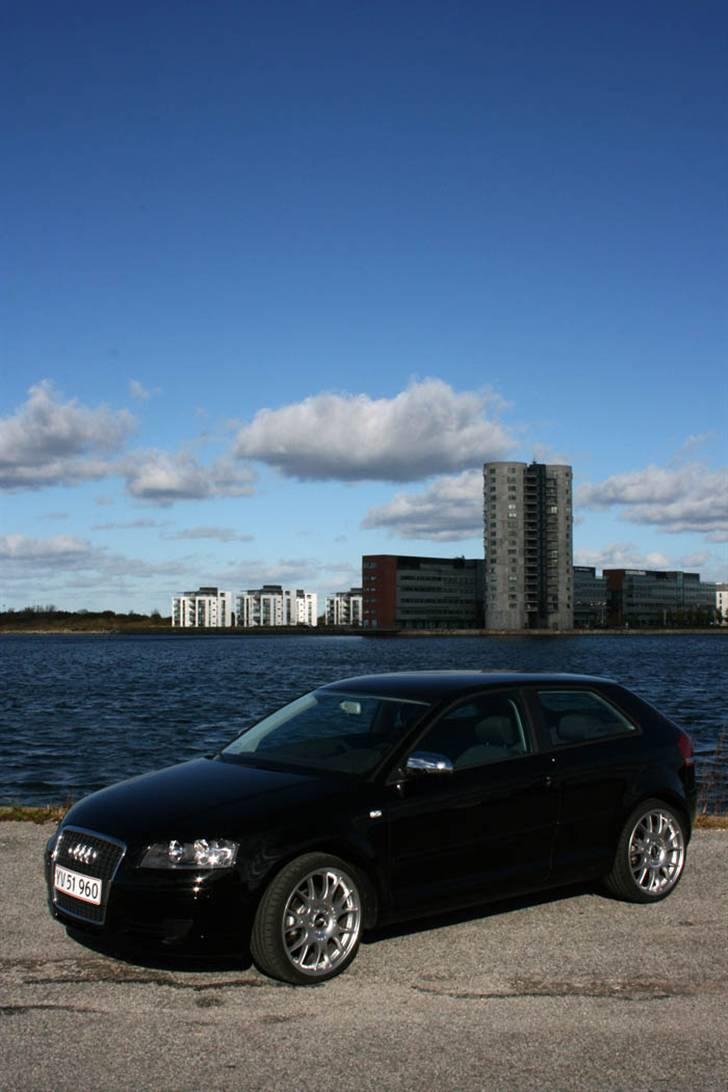 Audi A3 8P billede 2