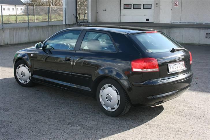 Audi A3 8P - Her med vinterrullerne monteret.. billede 9