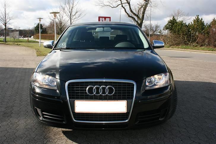 Audi A3 8P billede 11