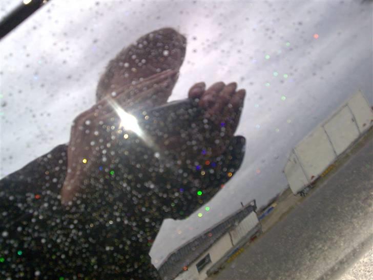 Opel Vectra B solgt billede 6