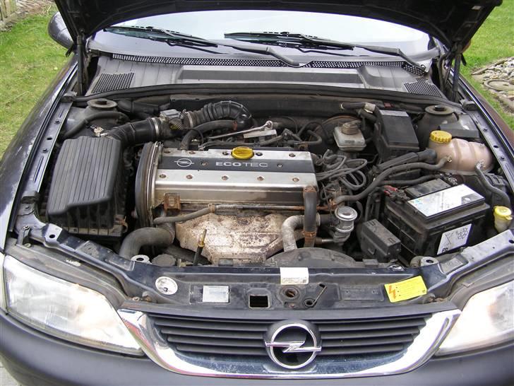 Opel Vectra B 1,8 16V Solgt billede 12