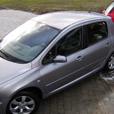 Peugeot 307 Griffe