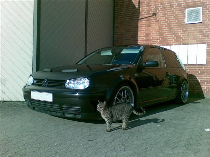 VW Golf 4 GTi 1.8 Turbo - Autobra og vagt ``hunden´´ :) billede 16