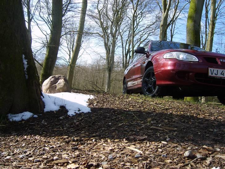 Hyundai Elantra Stc  - Så er bilen gået i vinterhi...  billede 17