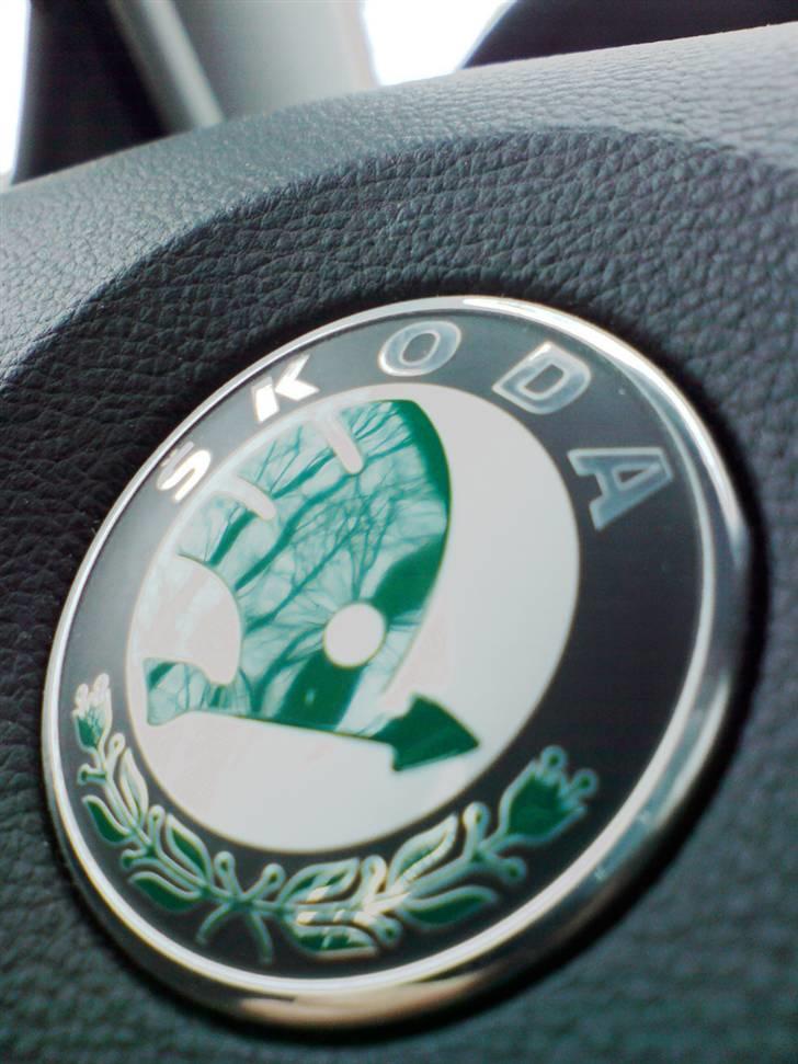 Skoda Fabia Combi Ambiente billede 4