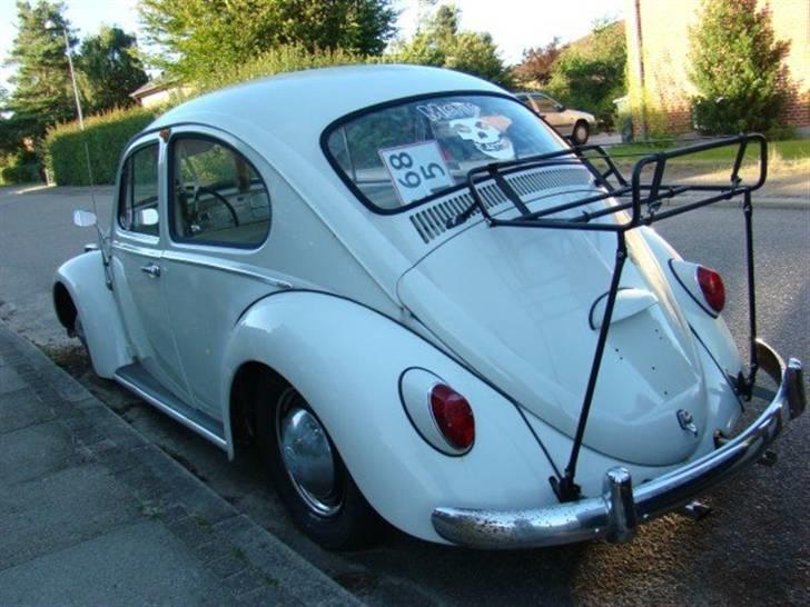 VW bobbel T1 billede 3