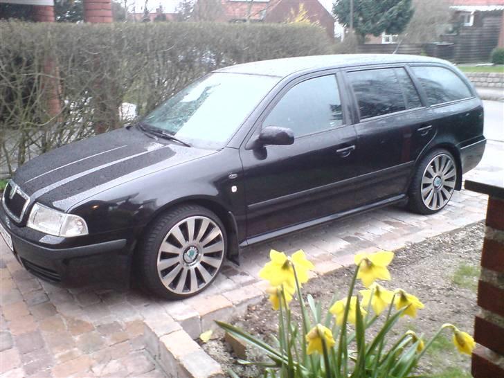 Skoda octavia BSR r.i.p billede 6