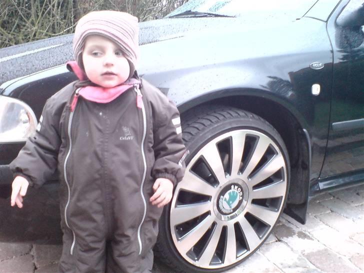 Skoda octavia BSR r.i.p - en dejlig pige og 18" skal der til.. billede 9